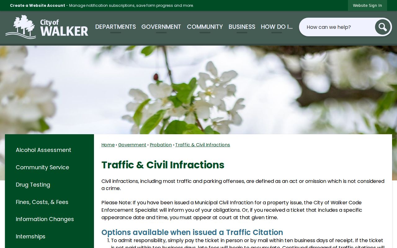 Walker court docket 59th District Court traffic and civil infraction instructions